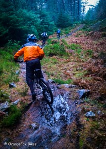 Trail Leading from OrangeFox Bikes in the Scottish Highlands.